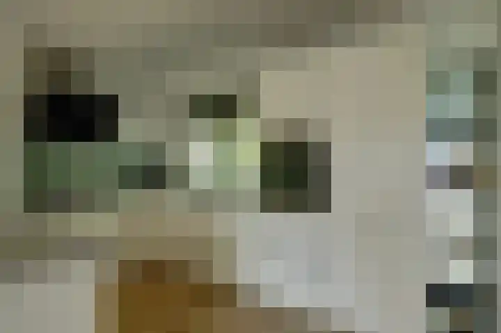 Kieftentuin 47 Zwaag thumbnail 21