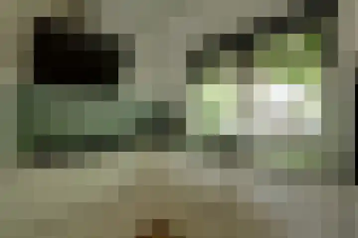 Kieftentuin 47 Zwaag thumbnail 22