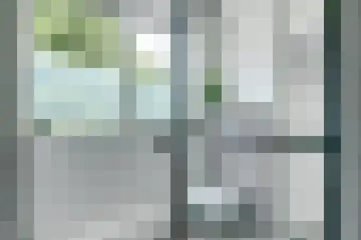 Kieftentuin 47 Zwaag thumbnail 34