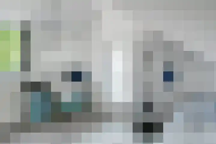 Kieftentuin 47 Zwaag thumbnail 39