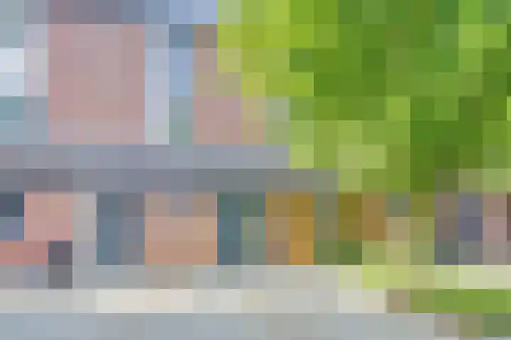 Kieftentuin 47 Zwaag thumbnail 4