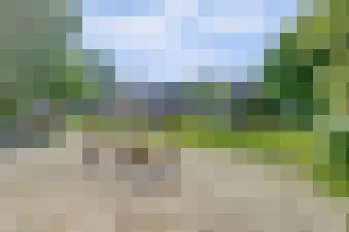 Kieftentuin 47 Zwaag thumbnail 49