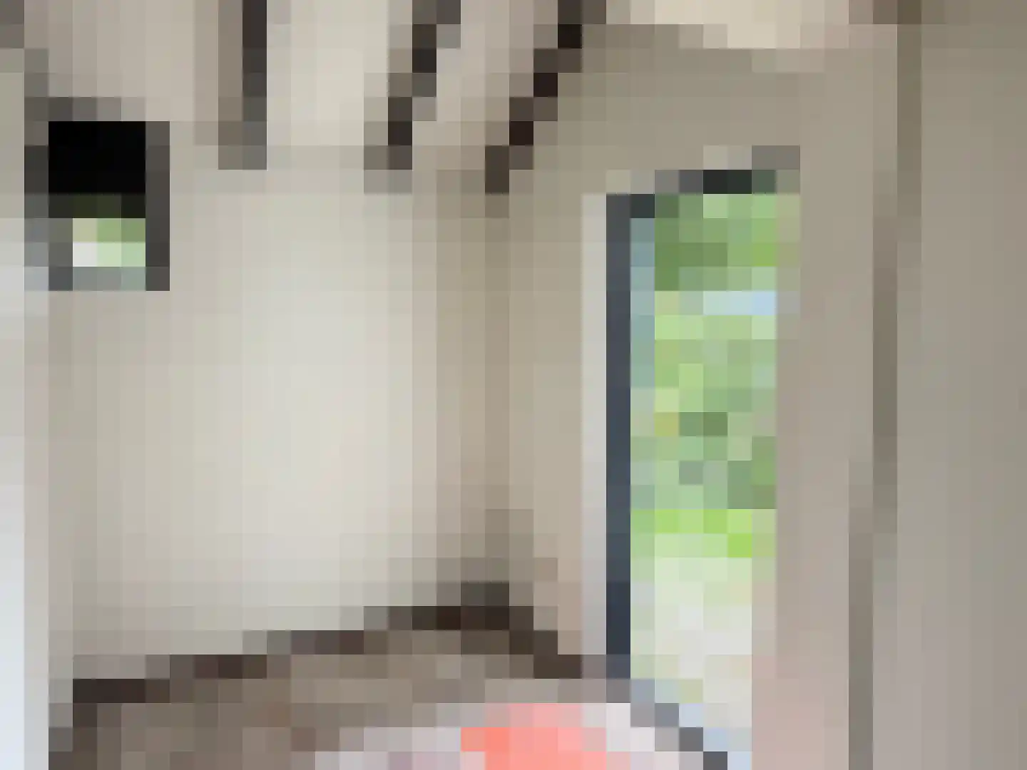 Kieftentuin 60 Zwaag thumbnail 17