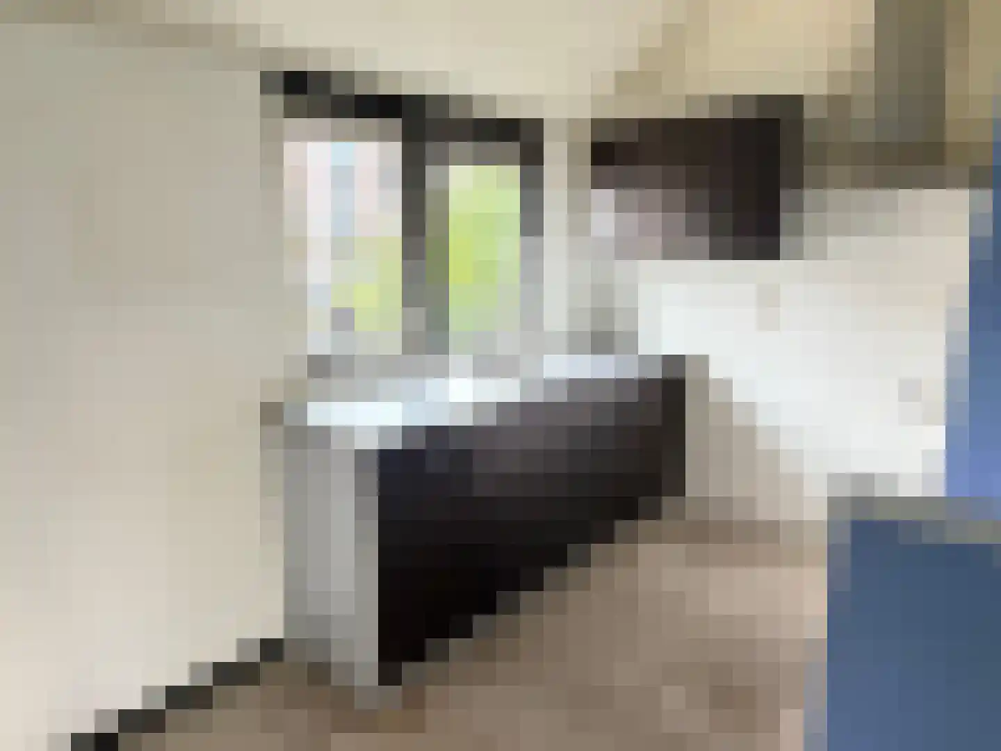 Kieftentuin 60 Zwaag thumbnail 8