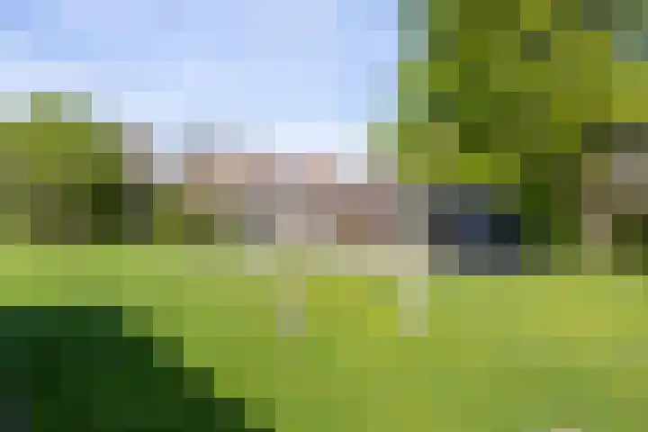 Kieftentuin 76 Zwaag thumbnail 34