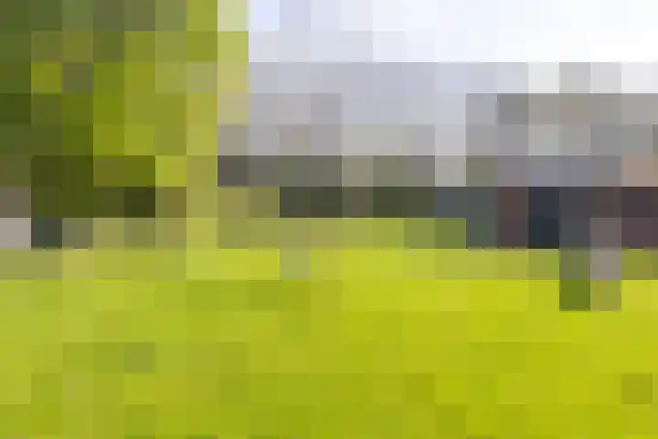 Kieftentuin 76 Zwaag thumbnail 35