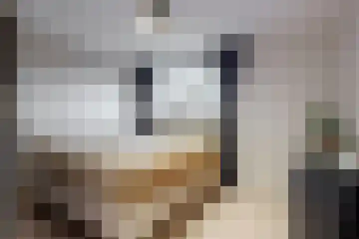 Kieftentuin 8 Zwaag thumbnail 13