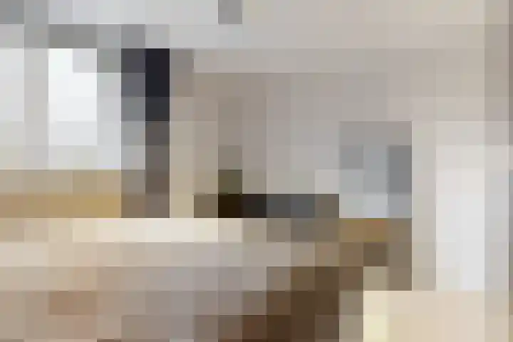 Kieftentuin 8 Zwaag thumbnail 14