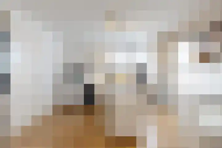 Kieftentuin 8 Zwaag thumbnail 19