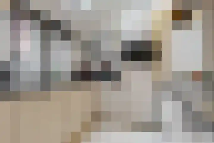 Kieftentuin 8 Zwaag thumbnail 4