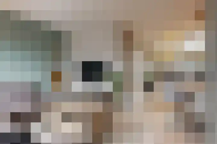 Kieftentuin 8 Zwaag thumbnail 8