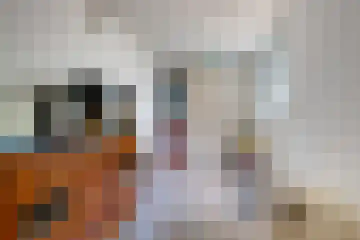 Kieftenweg 13 Dalen thumbnail 17