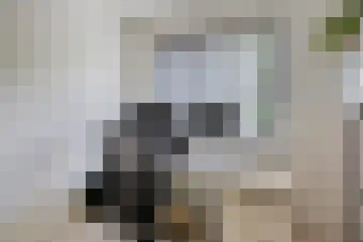 Kieftenweg 13 Dalen thumbnail 23