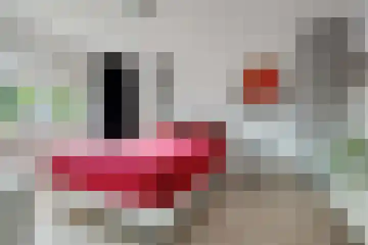 Kieftenweg 13 Dalen thumbnail 26