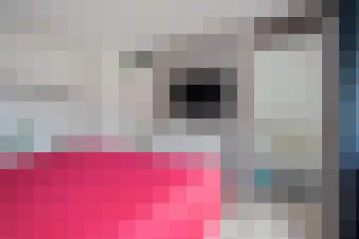 Kieftenweg 13 Dalen thumbnail 28