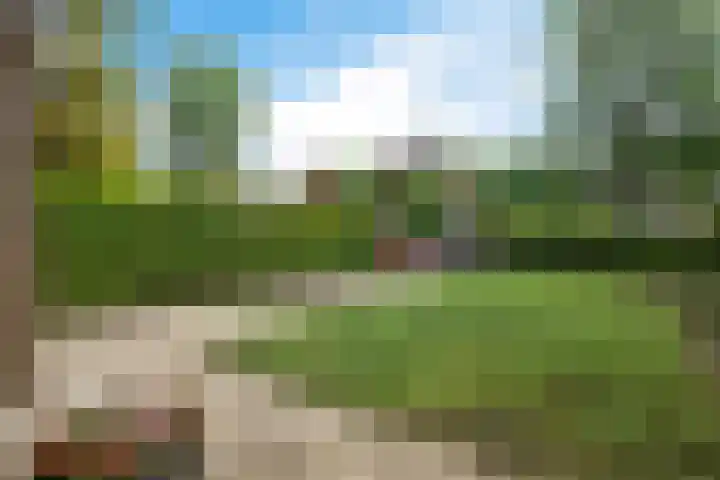 Kieftenweg 13 Dalen thumbnail 38