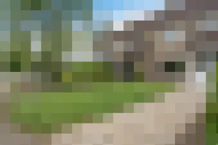 Kieftenweg 13 Dalen thumbnail 39