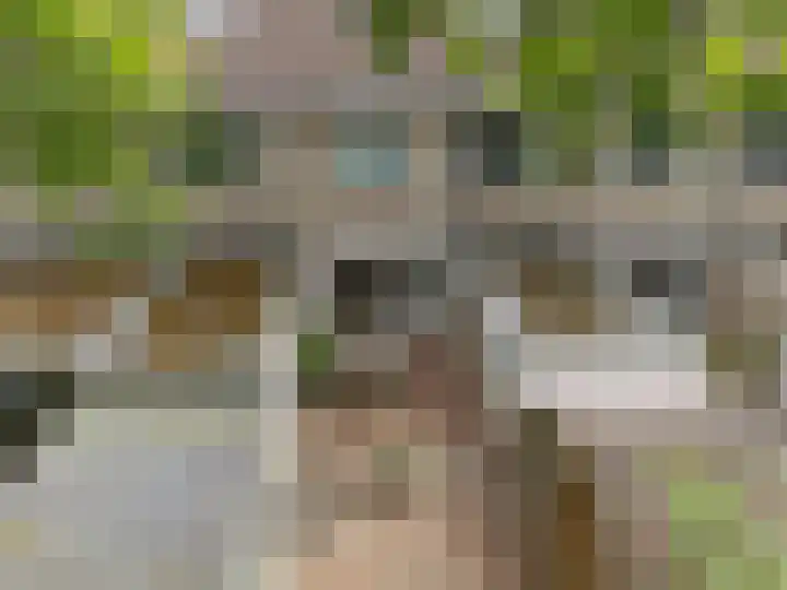 Kieftenweg 13 Dalen thumbnail 40