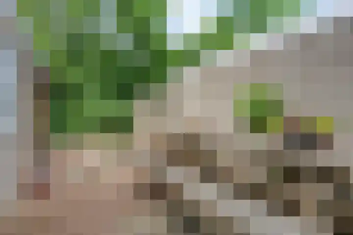 Kieftenweg 13 Dalen thumbnail 41