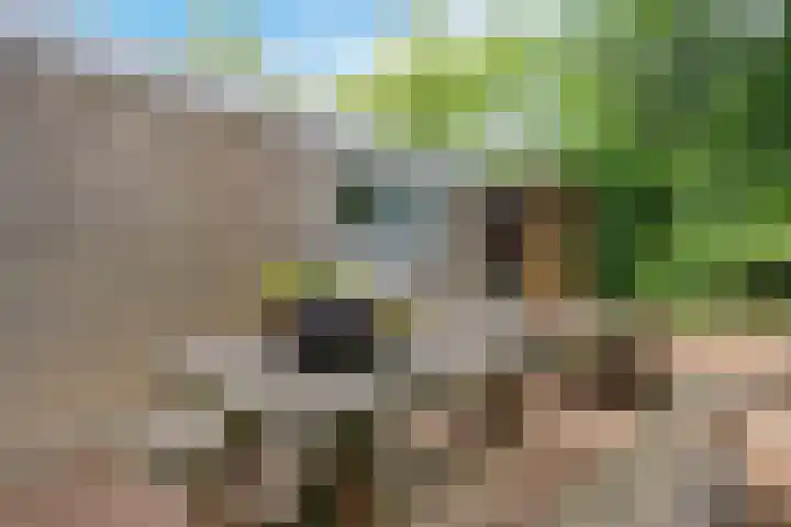 Kieftenweg 13 Dalen thumbnail 42