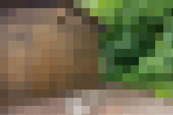 Kieftenweg 13 Dalen thumbnail 43