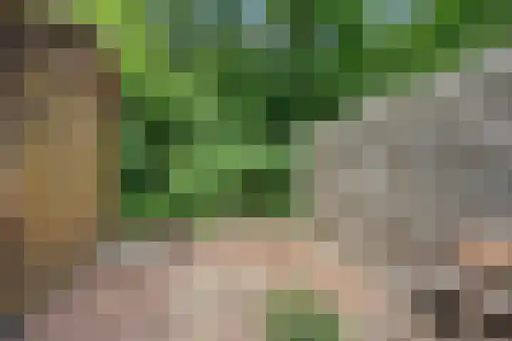 Kieftenweg 13 Dalen thumbnail 5