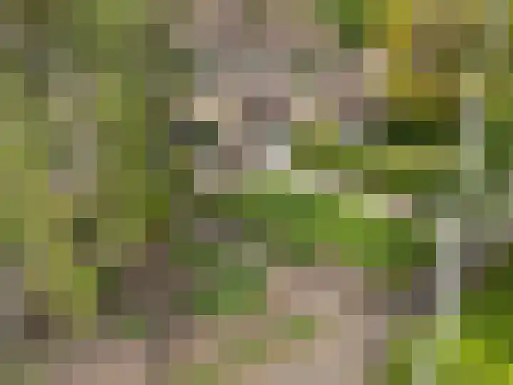 Kieftenweg 13 Dalen thumbnail 6
