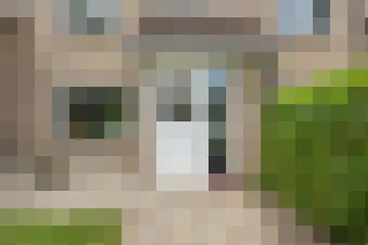 Kieftenweg 13 Dalen thumbnail 7