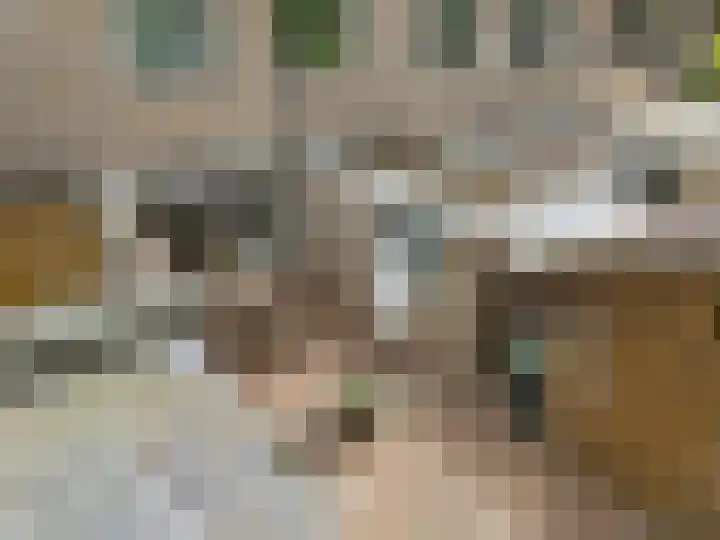 Kieftenweg 13 Dalen thumbnail 8