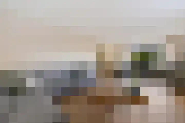 Kieftenweg 42 Dalen thumbnail 15