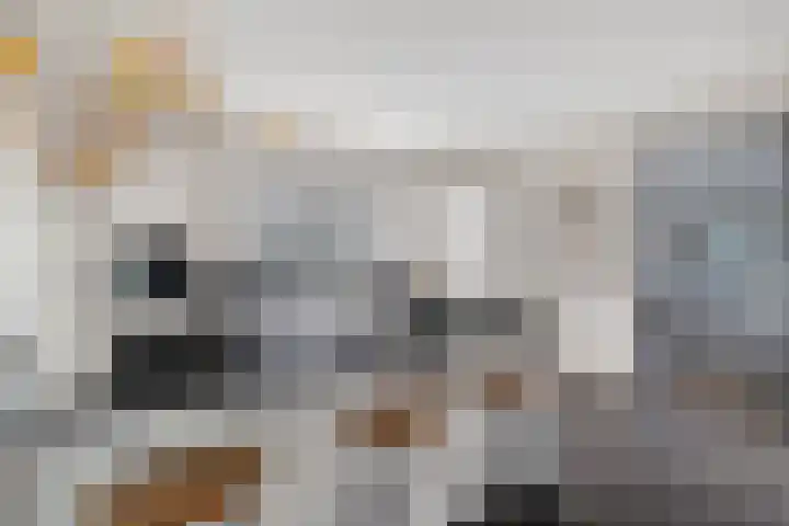 Kieftenweg 42 Dalen thumbnail 21