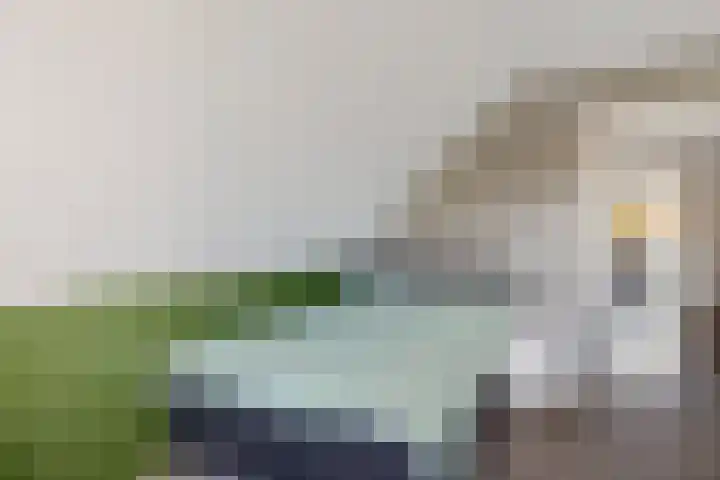 Kieftenweg 42 Dalen thumbnail 41