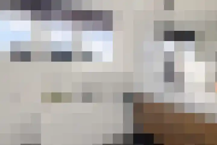 Kieftenweg 42 Dalen thumbnail 43