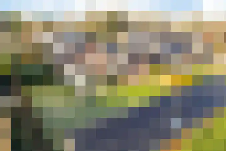 Kieftenweg 42 Dalen thumbnail 51
