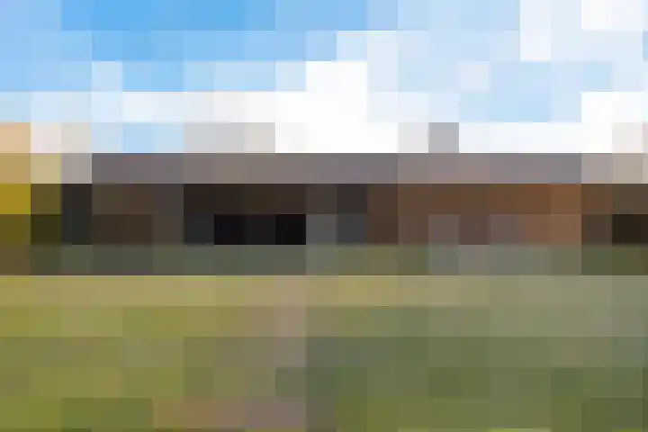 Kieftenweg 42 Dalen thumbnail 54