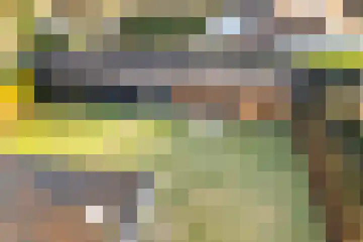 Kieftenweg 42 Dalen thumbnail 55