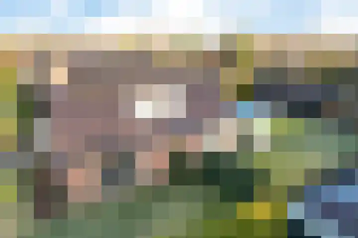 Kieftenweg 42 Dalen thumbnail 59