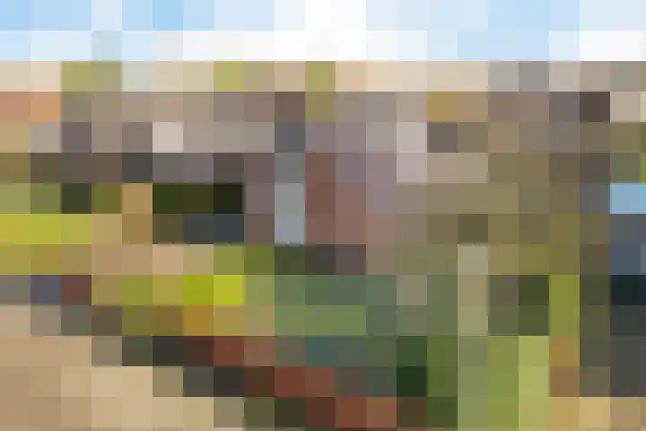 Kieftenweg 42 Dalen thumbnail 6