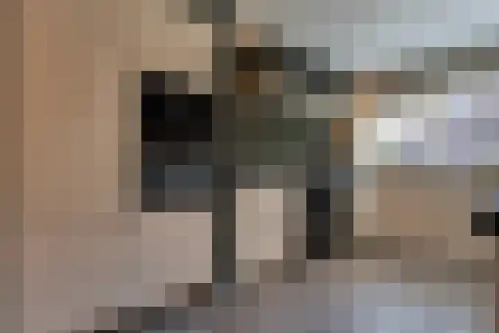 Kieftenweg 73 Dalen thumbnail 18