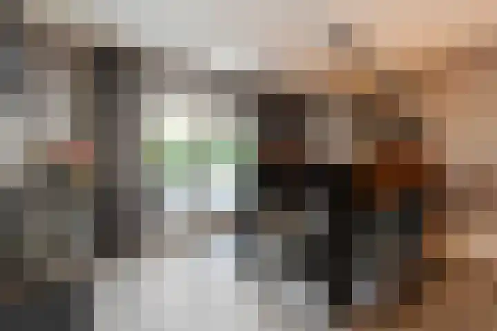 Kieftenweg 73 Dalen thumbnail 28
