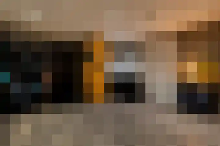 Kieftenweg 73 Dalen thumbnail 31