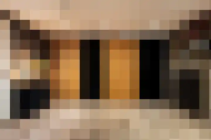 Kieftenweg 73 Dalen thumbnail 32