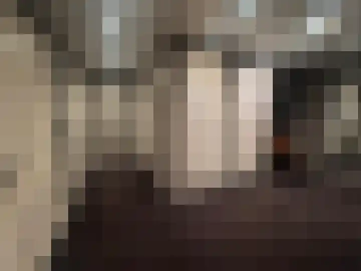 Kieftenweg 73 Dalen thumbnail 35
