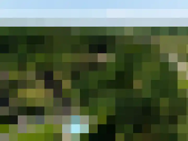 Kieftenweg 73 Dalen thumbnail 4
