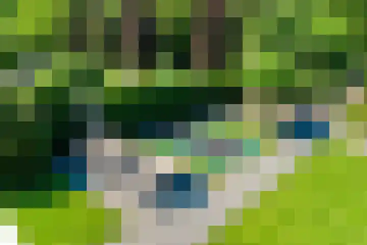 Kieftenweg 73 Dalen thumbnail 41