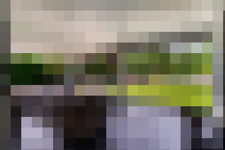 Kieftenweg 73 Dalen thumbnail 55