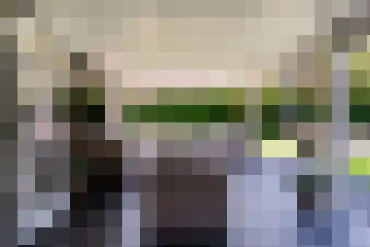 Kieftenweg 73 Dalen thumbnail 56