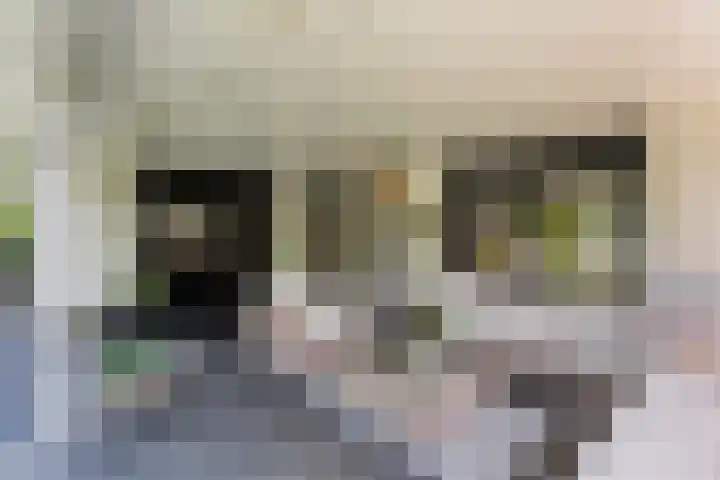 Kieftenweg 73 Dalen thumbnail 57
