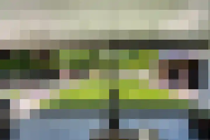 Kieftenweg 73 Dalen thumbnail 59