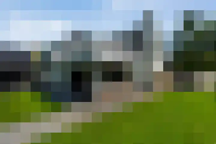 Kieftenweg 73 Dalen thumbnail 60